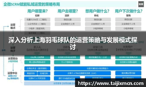 深入分析上海羽毛球队的运营策略与发展模式探讨