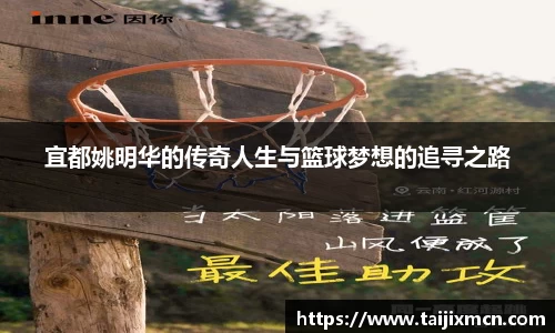 k1体育官方网站